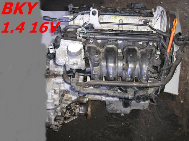 Двигатель 1.4 16V BKY VW POLO GOLF SEAT IBIZA FABIA