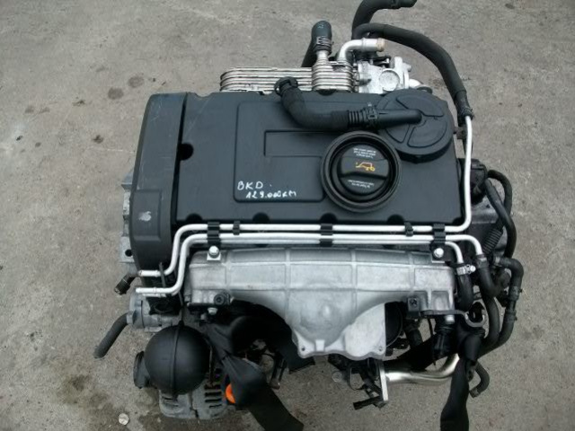 Двигатель 2.0 TDI BKD VW G5 Touran B6 A3 SZCZECIN GWA