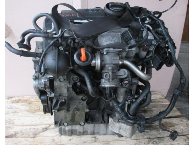 VW GOLF V PLUS 2.0 TDI двигатель BKD в сборе
