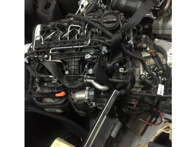 VW AUDI SKODA двигатель 1.6 TDI CAY коробка передач NFQ komp