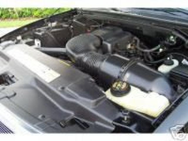 Engine-8Cyl:97-98 Ford Expedition, F150, F250, E150, E250