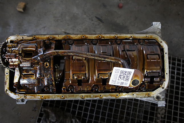 Фотография блока двигателя без поддона (коленвала) BMW M54 B25