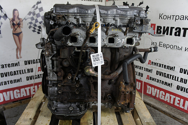 Фотография двигателя Nissan YD22DDT
