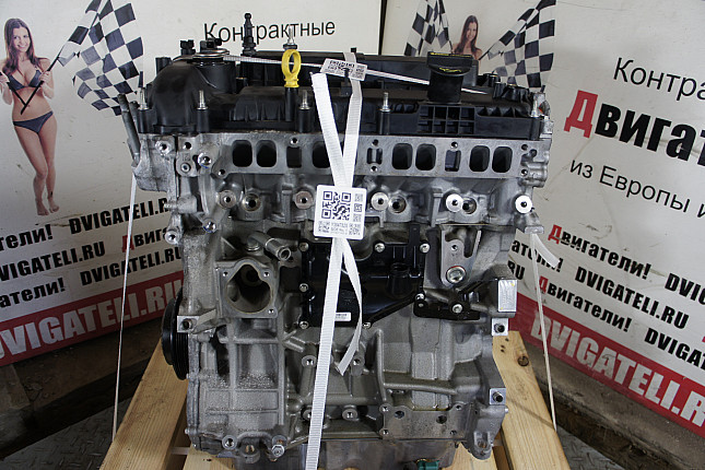 Фотография двигателя Jaguar 204PT